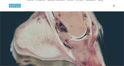 Desktop Screenshot of phytorigins.com