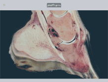 Tablet Screenshot of phytorigins.com